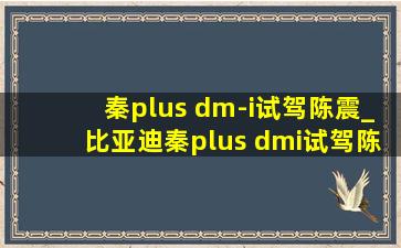 秦plus dm-i试驾陈震_比亚迪秦plus dmi试驾陈震